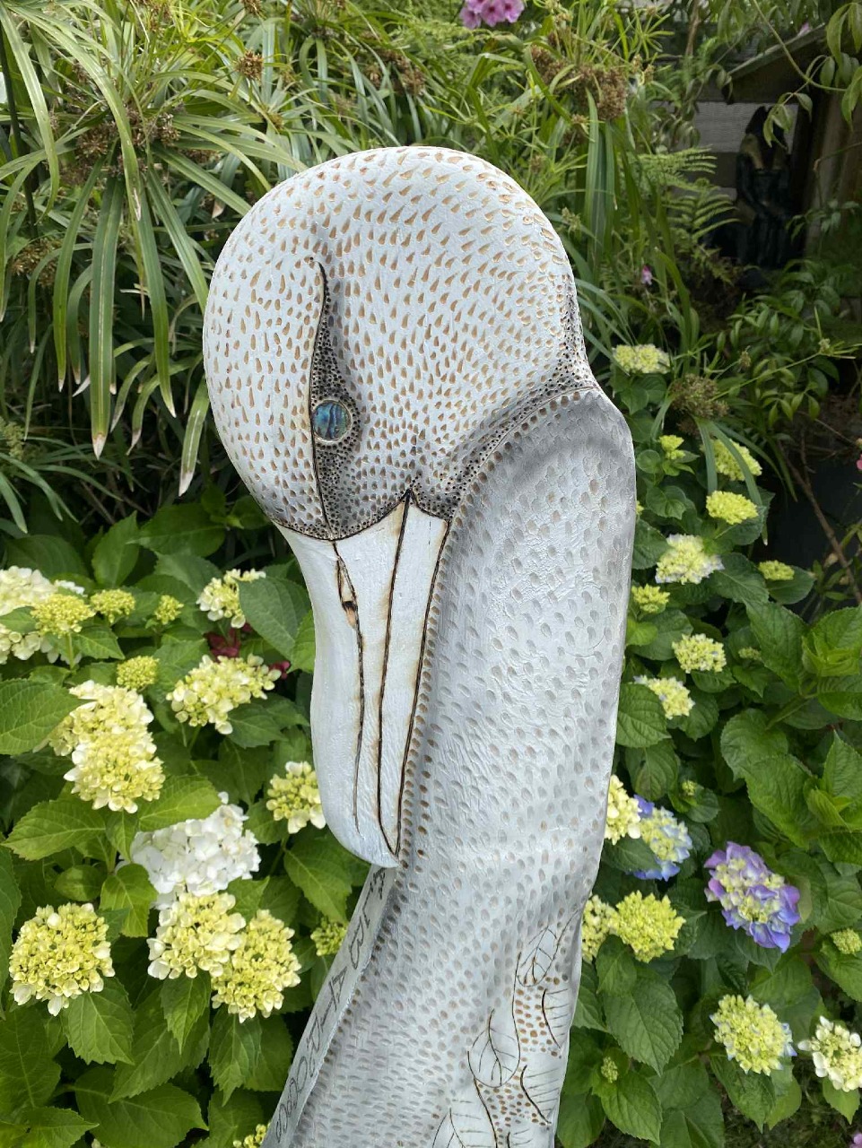 Tōroa (Albatross) 